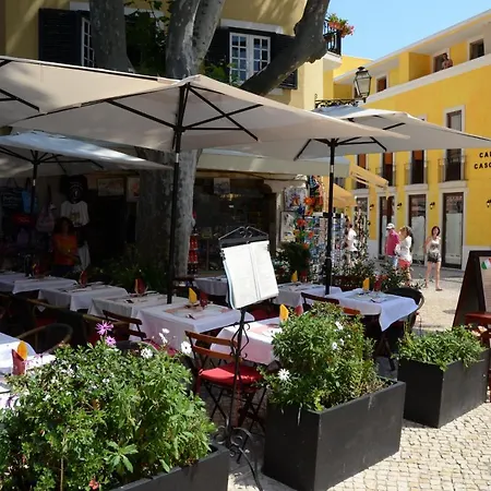 Fashionable And Modern -